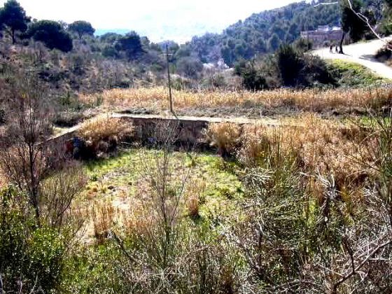 Vista general de la Bassa des de darrera_01