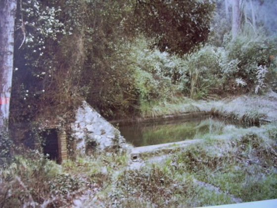 F. de Can Borrull_01