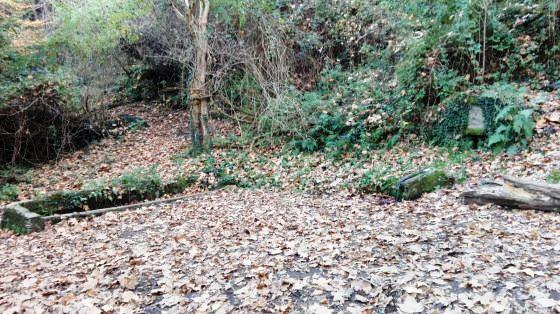 IMG-20151124-WA0003_01