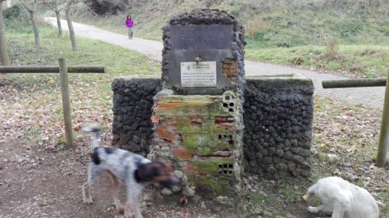 IMG-20151124-WA0007_01