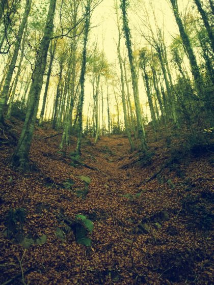 IMG-20151126-WA0011_01