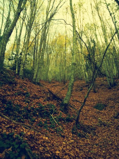 IMG-20151126-WA0014_01