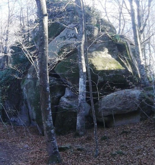 IMG-20151128-WA0000 - copia_01