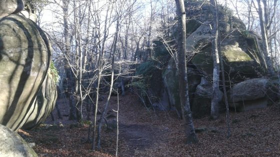 IMG-20151128-WA0000_01