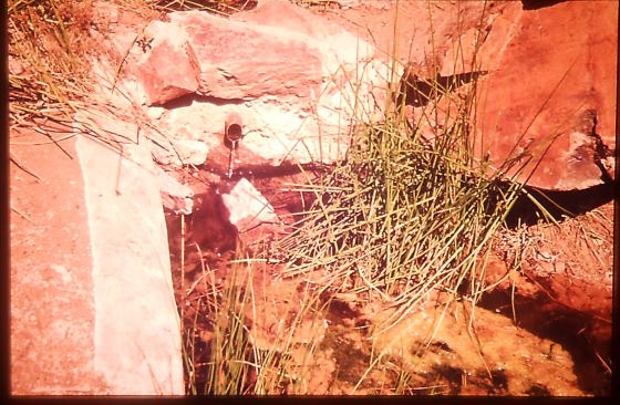 Font de la Serp - Any 1987 - Arxiu RASOLA