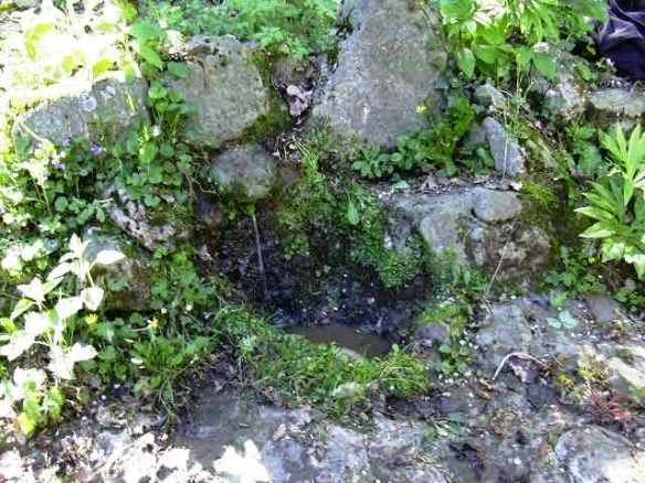 Font d'en Jaume - Santa Pau