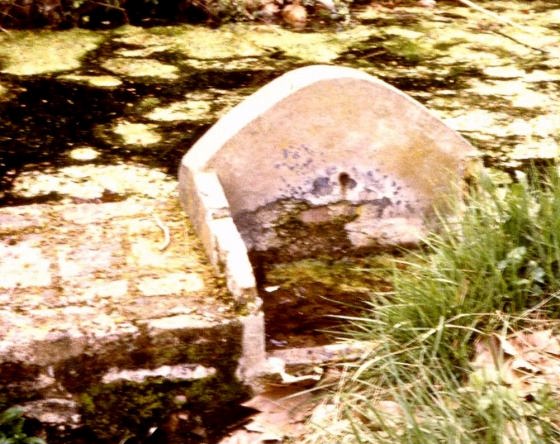 Ft Can Montmany i Bassa - copia_01