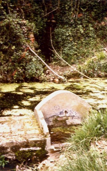 Ft Can Montmany i Bassa_01