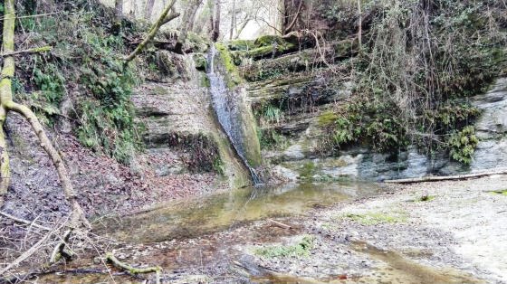 IMG-20160113-WA0019_01