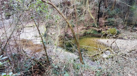 IMG-20160113-WA0020_01