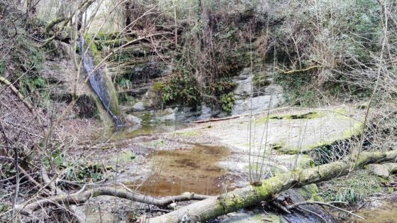 IMG-20160113-WA0022_01