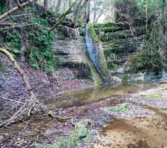 IMG-20160114-WA0002_01