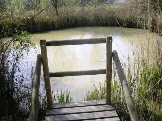 Mirador i Vista general _01