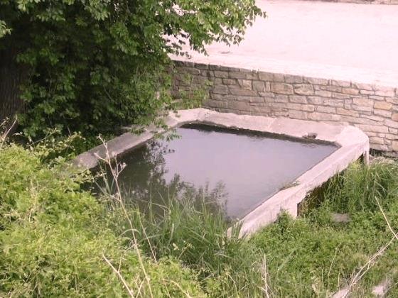 Safreix de Torroja_01