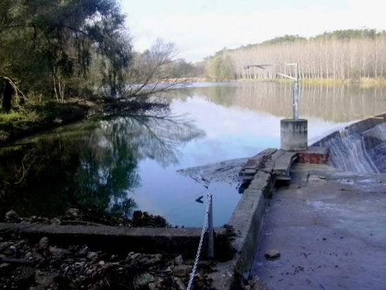 Vista parcial des del Mur_01