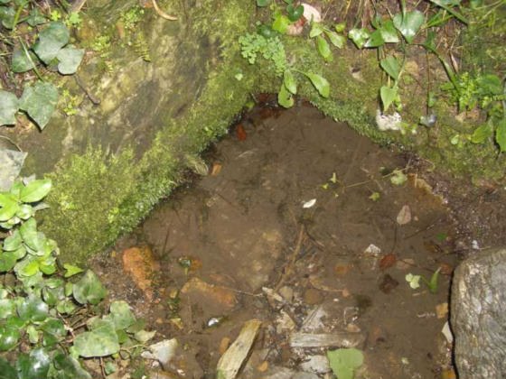 Estat Actual de la Font