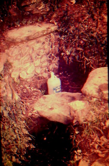 Any 1988 - de l'Arxiu Fotografic RASOLA