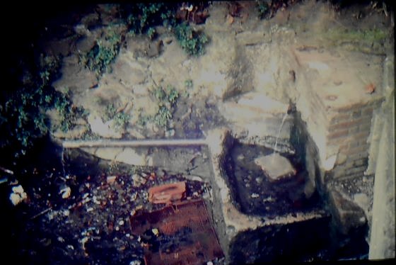 Any 1987 - Arxiu historic RASOLA