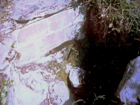 Any 1986 - Fotografia de l'Arxiu RASOLA