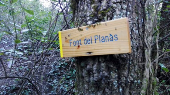 IMG-20160113-WA0023_01