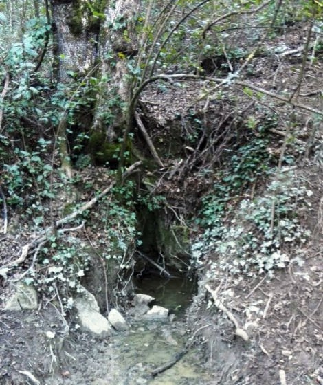 IMG-20160113-WA0024_01