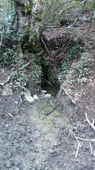 IMG-20160113-WA0025_01