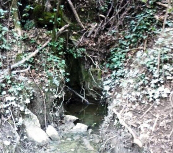 IMG-20160114-WA0026_01