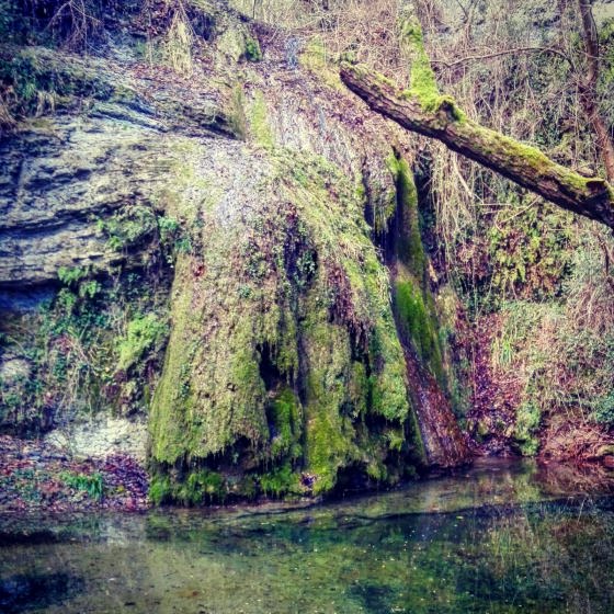 IMG-20160121-WA0001_01