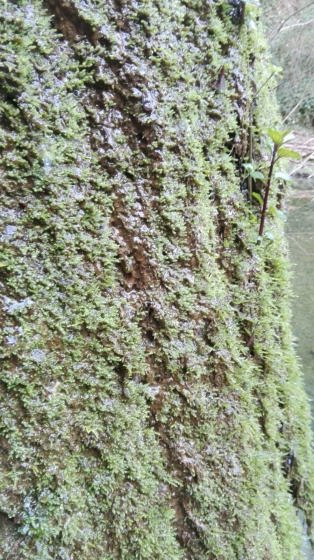 IMG-20160121-WA0002_01