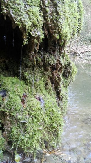 IMG-20160121-WA0004_01