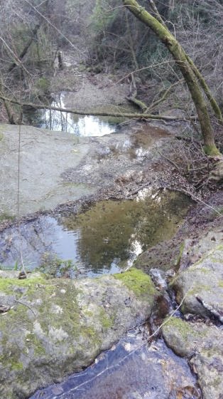 IMG-20160121-WA0006_01