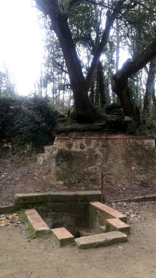 IMG-20160131-WA0002_01