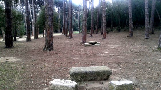 IMG-20160131-WA0003_01