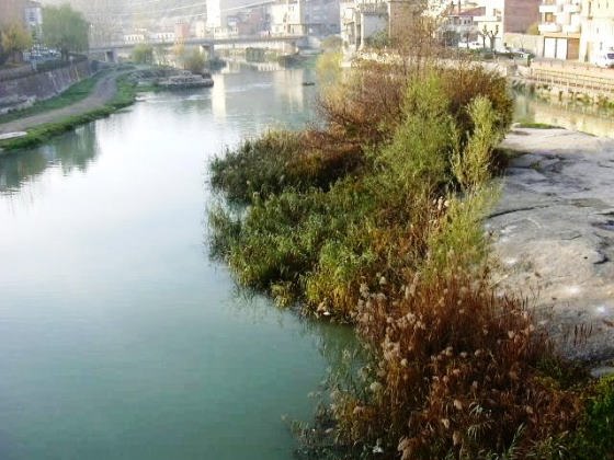 L'Illa i Vista general 1_01