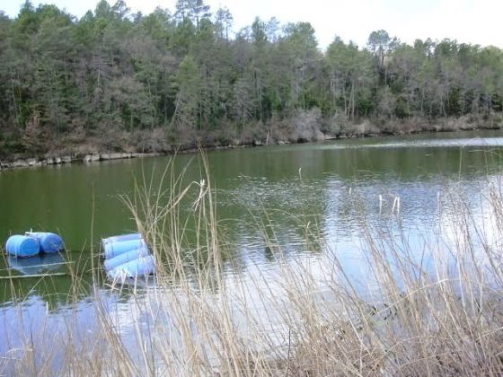 Vista des del Mur del Panta_01