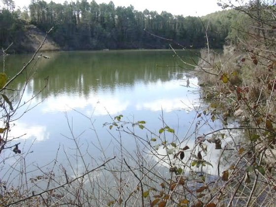 Vista parcial del Pantá 2_01