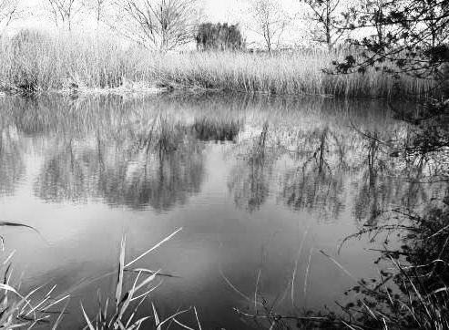 CREATOR: gd-jpeg v1.0 (using IJG JPEG v62), quality = 80