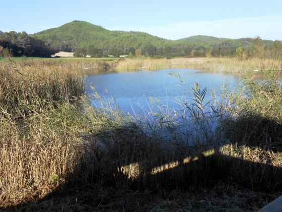 Banyoles Estany de Morgant_01