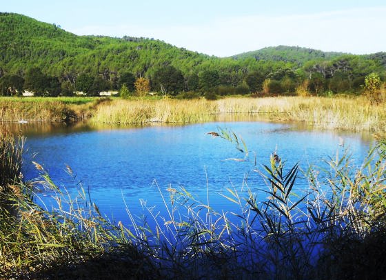 Banyoles Estany de Morgantdfgsgy_01