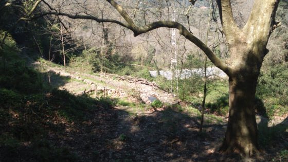 IMG-20150406-WA0008_01