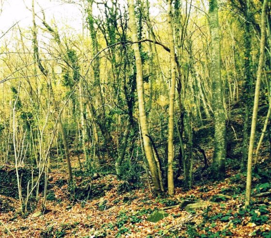 IMG-20151126-WA0008_01