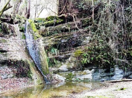 IMG-20160114-WA0004_01