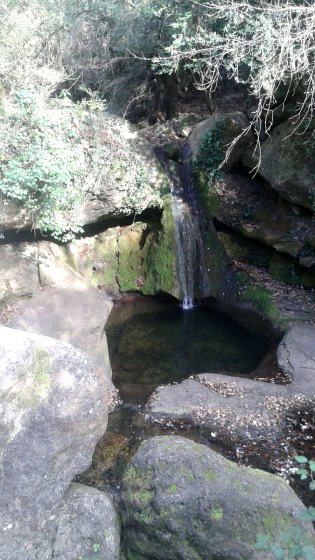 IMG-20160123-WA0007_01