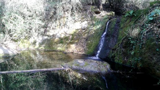 IMG-20160123-WA0009_01