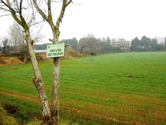 Refugi de Fauna_01