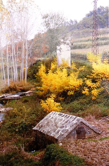 Antiga deu d'aigua que és portaba al poble de Sant Quirze de Besora