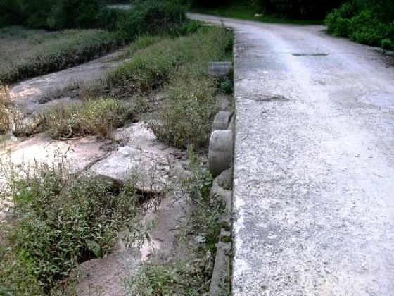 Passera de la cua del Pantà