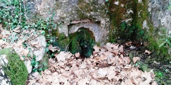 IMG-20160306-WA0008 - copia_01