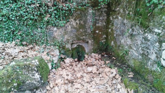 IMG-20160306-WA0008_01