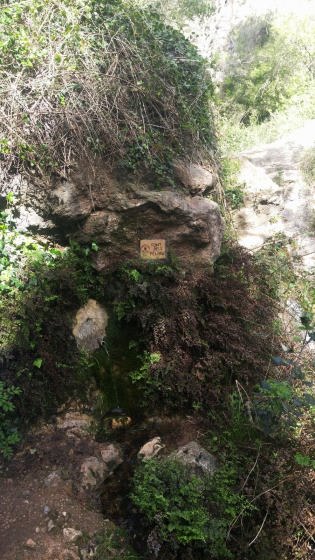 IMG-20160417-WA0000_01